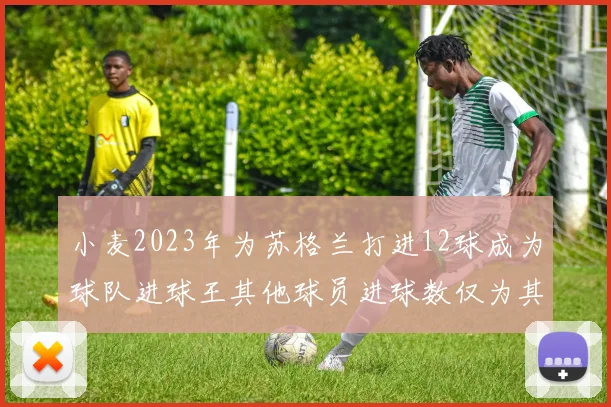 小麦2023年为苏格兰打进12球成为球队进球王其他球员进球数仅为其一半
